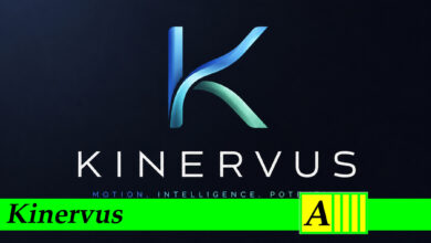 Kinervus