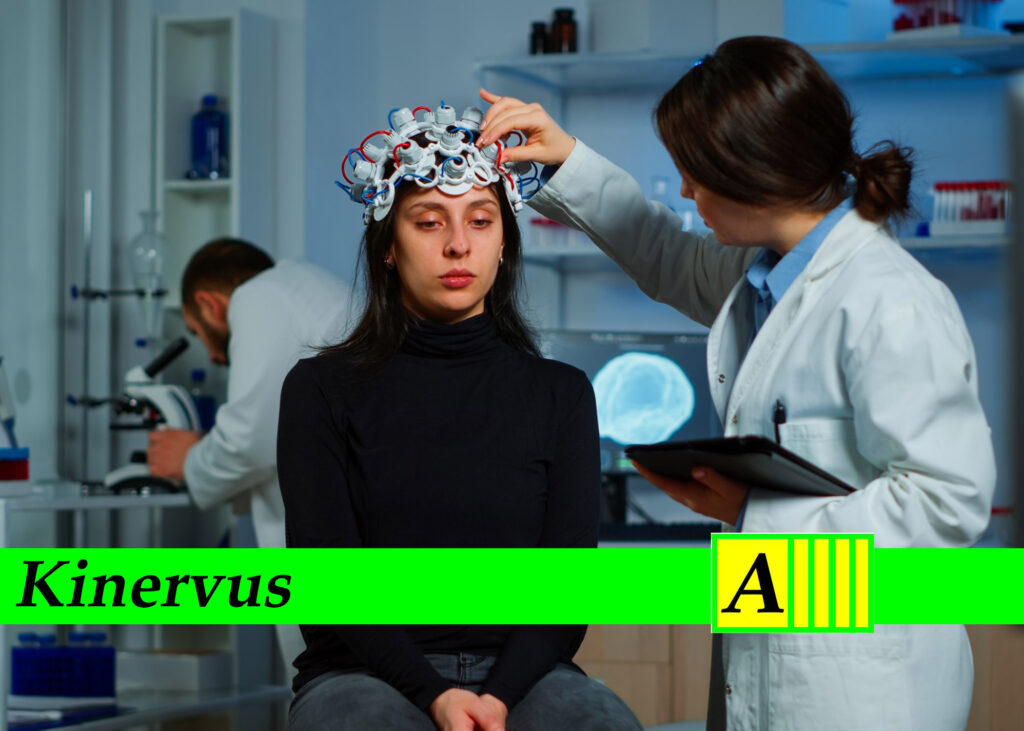 Kinervus