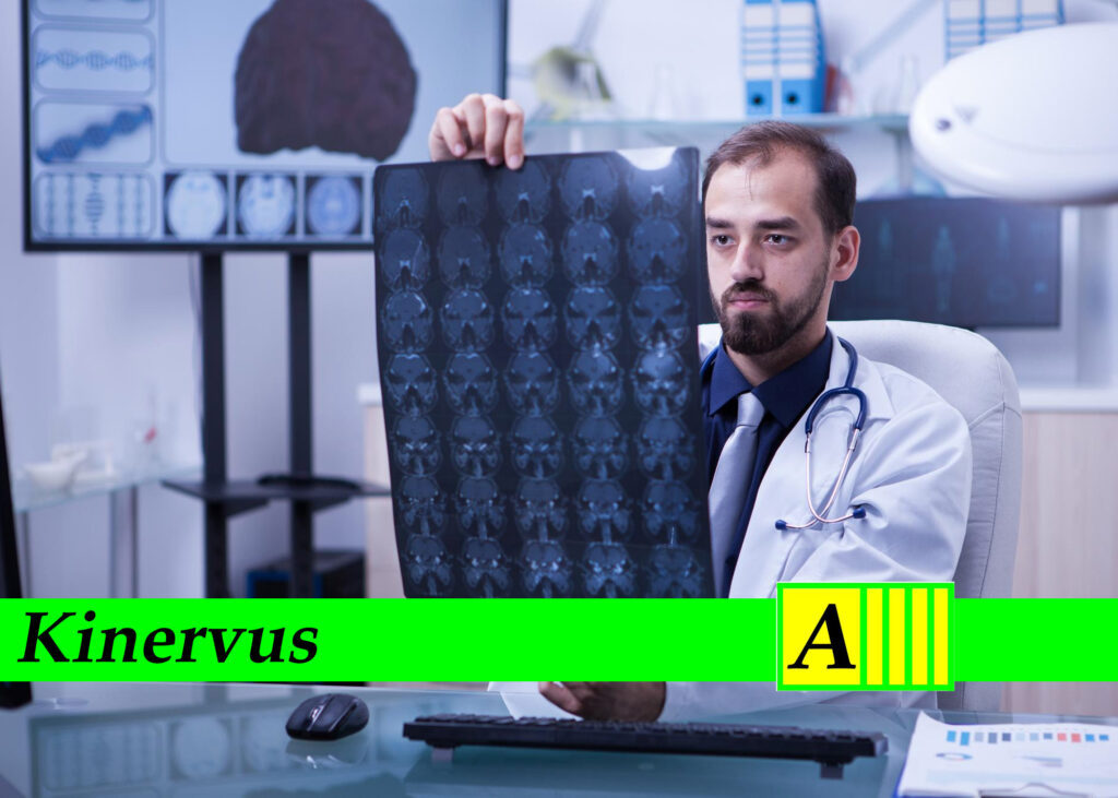 Kinervus